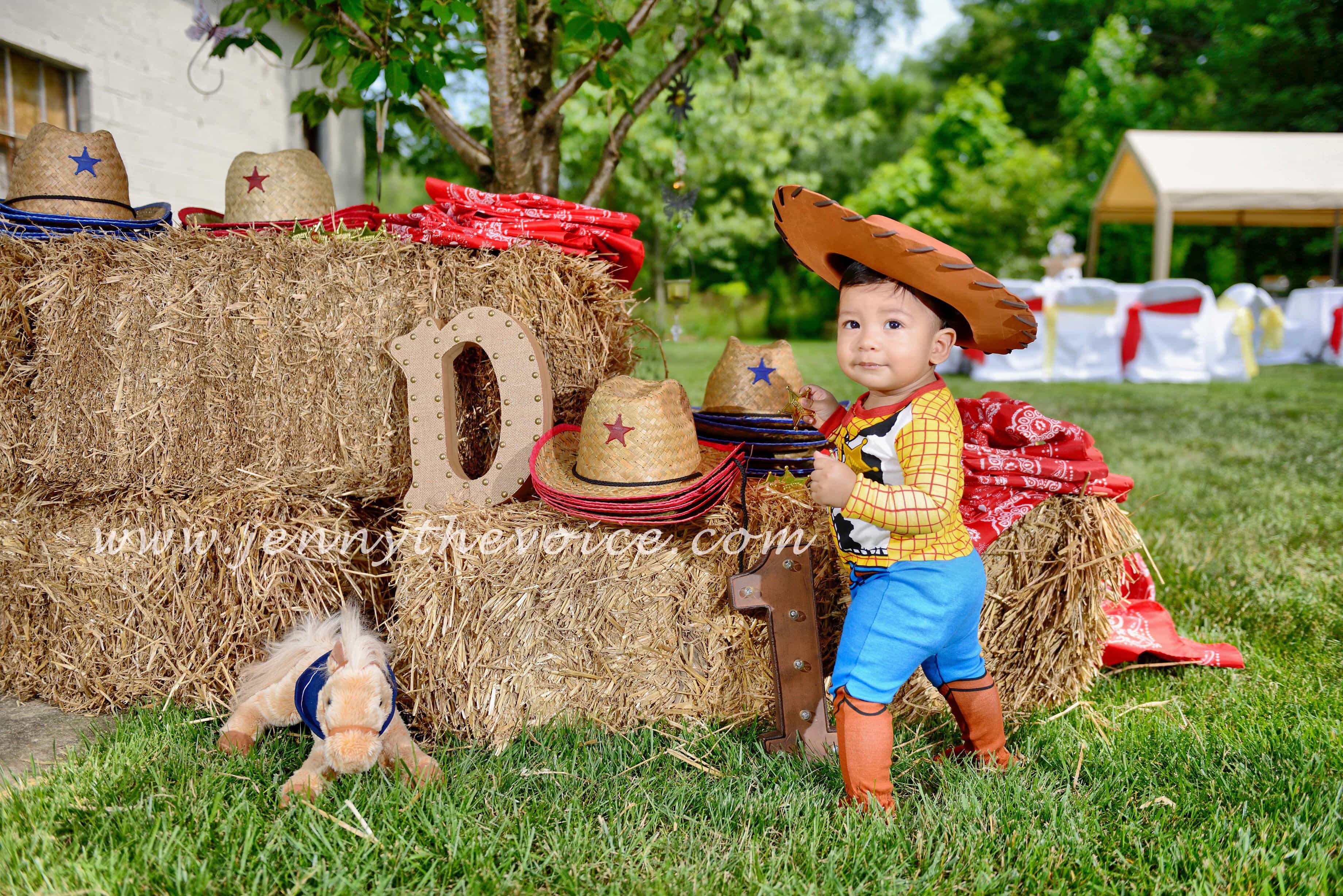 Toy-Story-birthday-party-ideas-toy-story-land